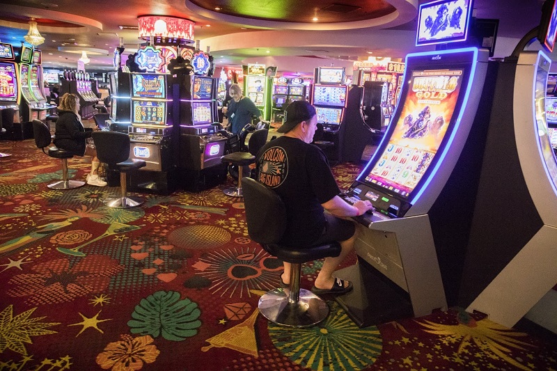 Which Live Casino Should You Play at?
