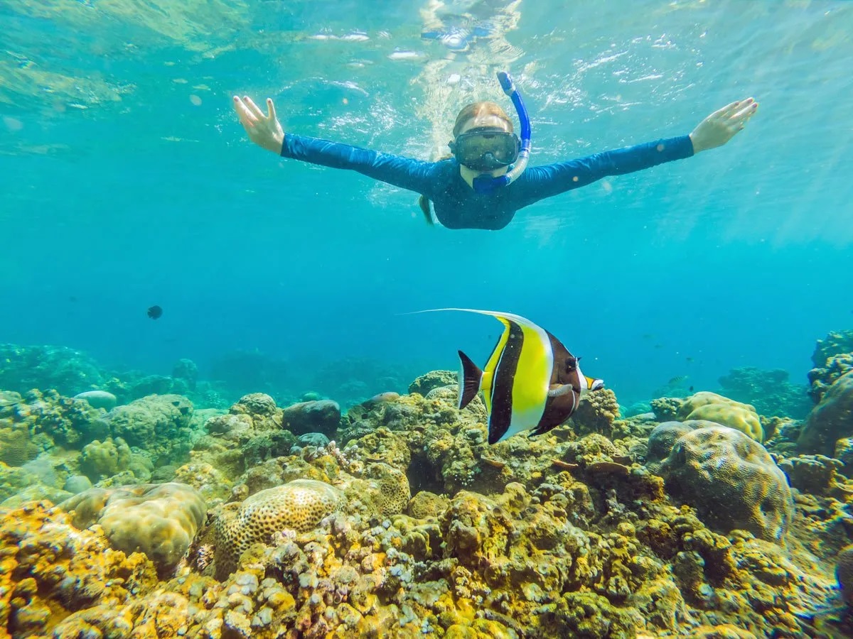 6 Tips for Snorkeling Molokini